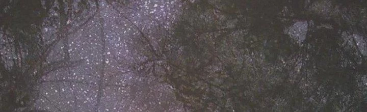 Trải Nghiệm Trở Thành Huyết Tộc Chapter 11 - 33