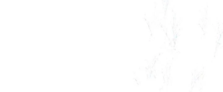 Trải Nghiệm Trở Thành Huyết Tộc Chapter 12 - 156