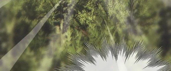 Trải Nghiệm Trở Thành Huyết Tộc Chapter 12 - 216