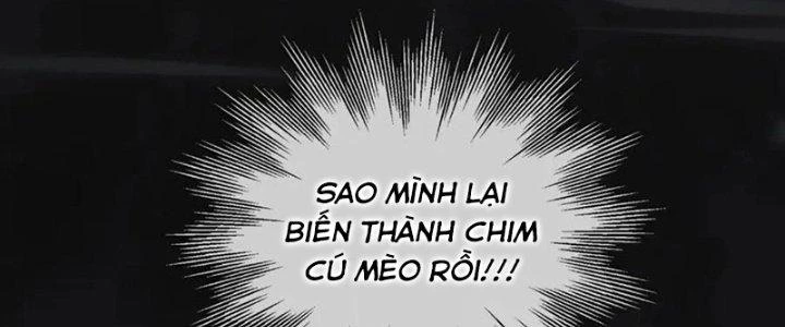 Trải Nghiệm Trở Thành Huyết Tộc Chapter 12 - 228