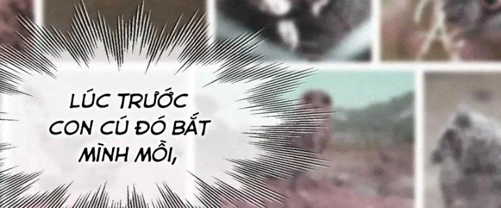 Trải Nghiệm Trở Thành Huyết Tộc Chapter 12 - 283