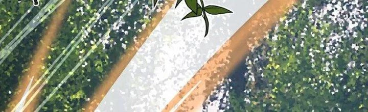 Trải Nghiệm Trở Thành Huyết Tộc Chapter 13 - 173