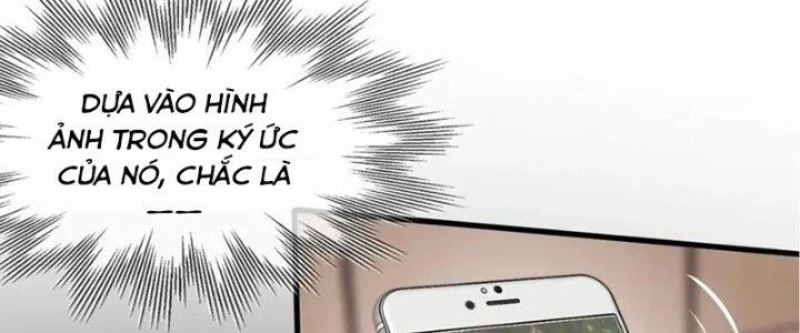 Trải Nghiệm Trở Thành Huyết Tộc Chapter 13 - 275