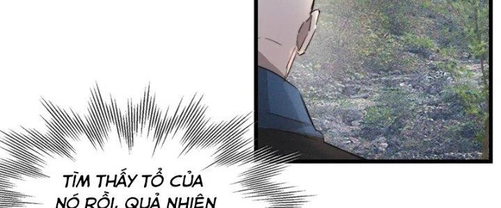 Trải Nghiệm Trở Thành Huyết Tộc Chapter 14 - 14