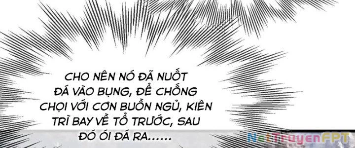 Trải Nghiệm Trở Thành Huyết Tộc Chapter 14 - 23