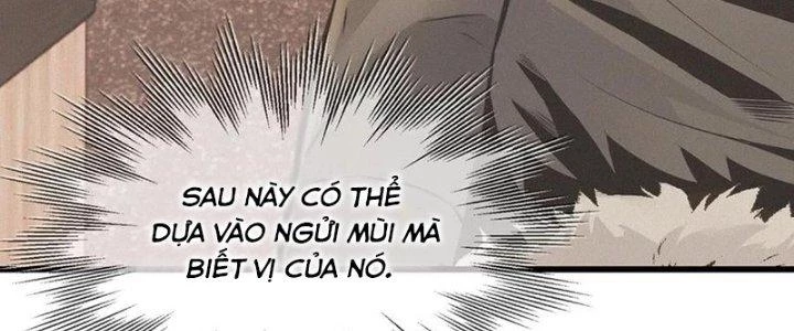 Trải Nghiệm Trở Thành Huyết Tộc Chapter 20 - 31