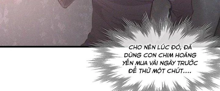 Trải Nghiệm Trở Thành Huyết Tộc Chapter 38 - 67