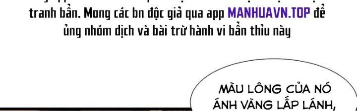 Trải Nghiệm Trở Thành Huyết Tộc Chapter 46 - 129