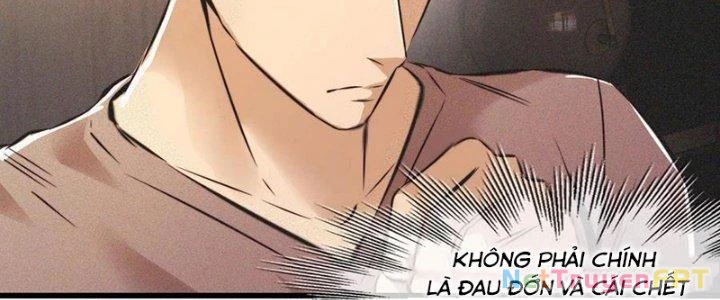 Trải Nghiệm Trở Thành Huyết Tộc Chapter 51 - 66