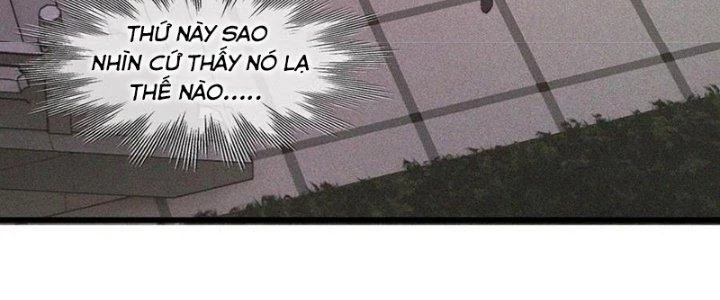 Trải Nghiệm Trở Thành Huyết Tộc Chapter 57 - 166