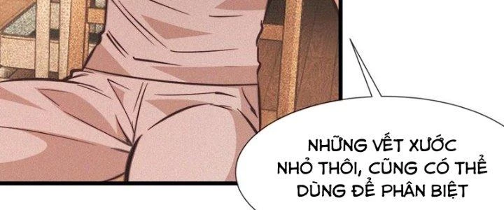 Trải Nghiệm Trở Thành Huyết Tộc Chapter 82 - 54