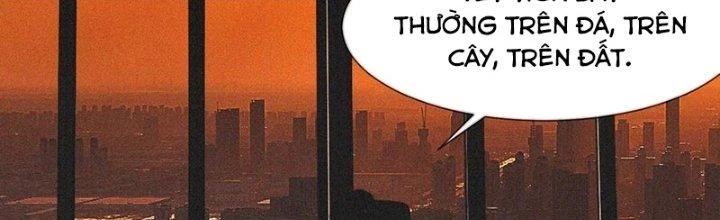 Trải Nghiệm Trở Thành Huyết Tộc Chapter 90 - 73