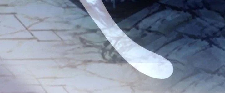Đạo Sĩ Ma Pháp Dị Thế Giới Chapter 29 - 252