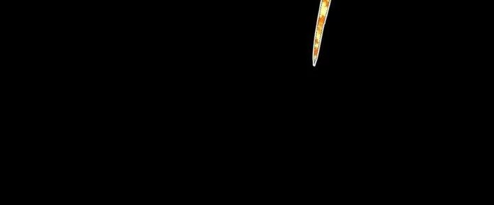 Thiếu Nữ Nghèo Khó Chinh Phục Dị Giới Chapter 2 - 79