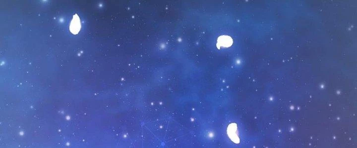 Thiếu Nữ Nghèo Khó Chinh Phục Dị Giới Chapter 12 - 155