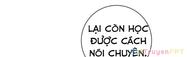 Thôn Trưởng Thôn Tân Thủ Chapter 70 - 257