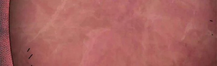 Mạt Thế Đạo Tặc Hành Chapter 135 - 217