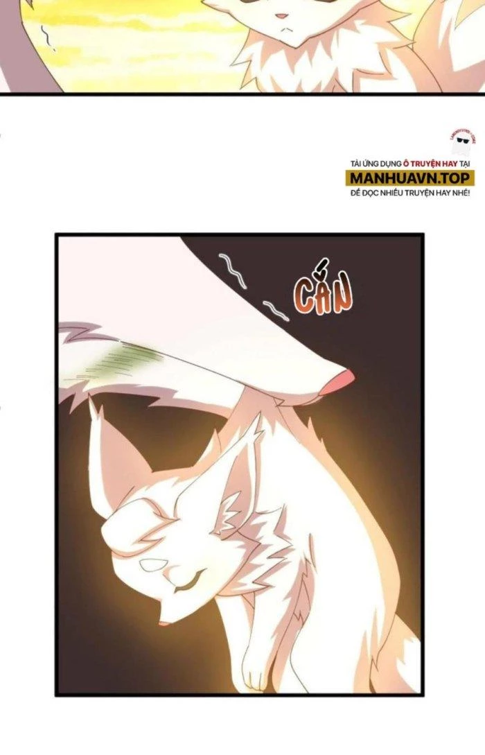 Thẻ Bài Của Ta Có Thể Vô Hạn Cường Hoá Chapter 16 - 12