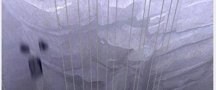 Ta Diệt Sát Chúng Thần Chapter 52 - 218