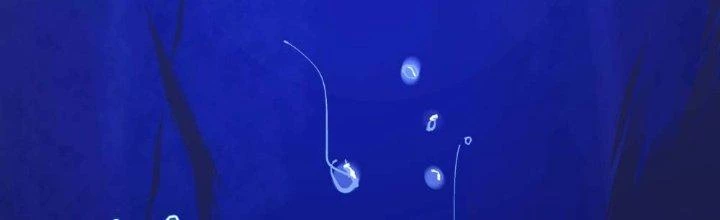 Ta Diệt Sát Chúng Thần Chapter 53 - 9