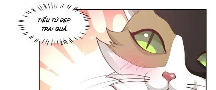 Ta Diệt Sát Chúng Thần Chapter 75 - 83