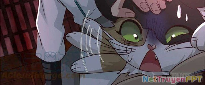 Ta Diệt Sát Chúng Thần Chapter 75 - 139