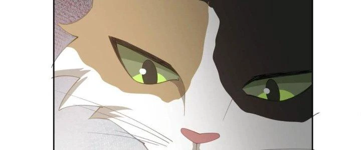 Ta Diệt Sát Chúng Thần Chapter 76 - 116