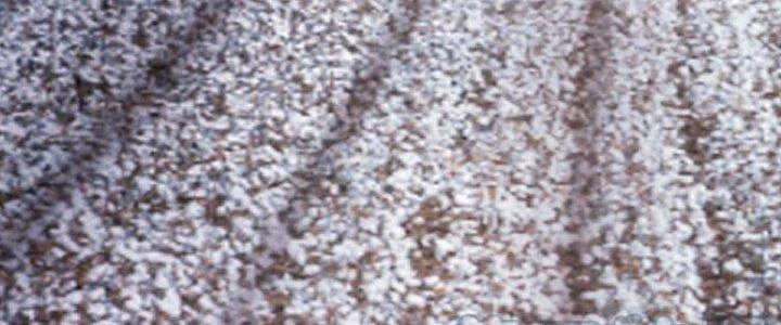 Ta Diệt Sát Chúng Thần Chapter 76 - 182
