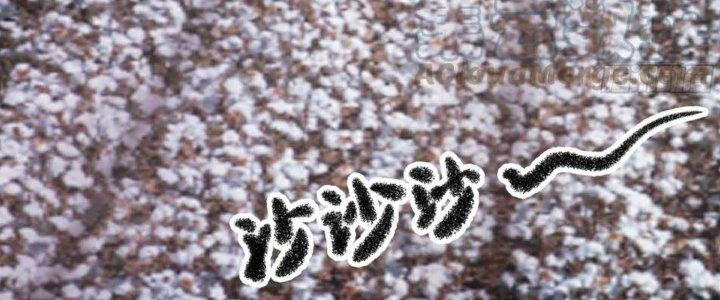 Ta Diệt Sát Chúng Thần Chapter 76 - 183