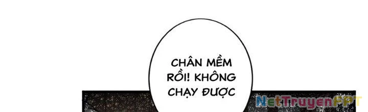 Ta Thật Sự Không Phải Thiên Mệnh Chi Tử Chapter 9 - 85