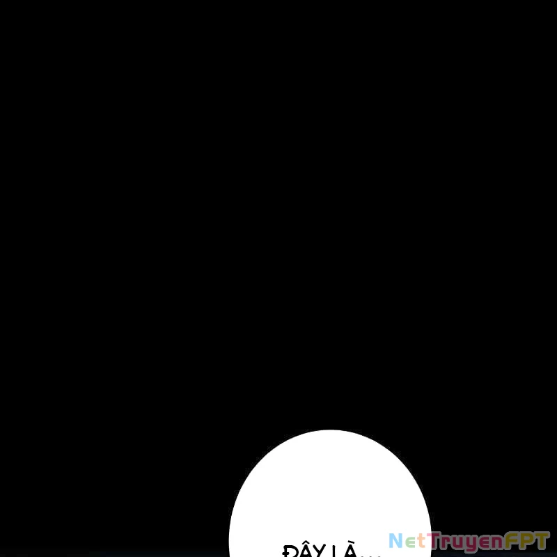 Zero 0 - Vựơt Qua Cả Ma Pháp Thời Không Chapter 52 - 5