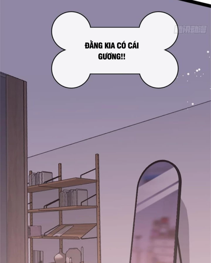 Kế Hoạch Nuôi Dưỡng Streamer Của Cẩu Hoàng Chapter 1 - Trang 2
