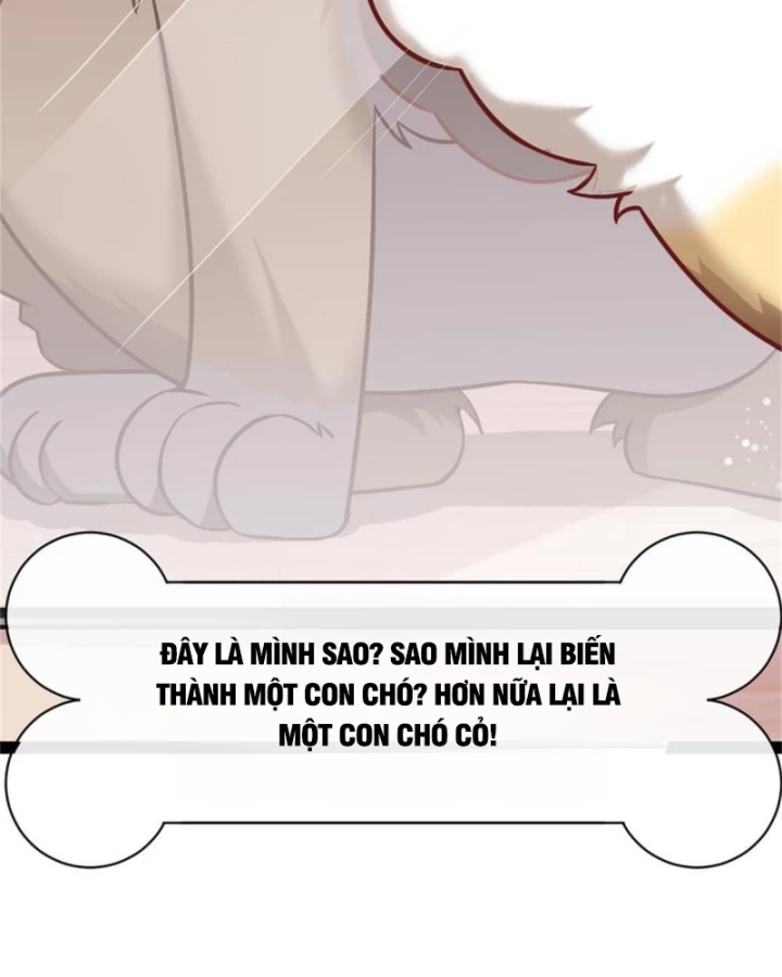 Kế Hoạch Nuôi Dưỡng Streamer Của Cẩu Hoàng Chapter 1 - Trang 2