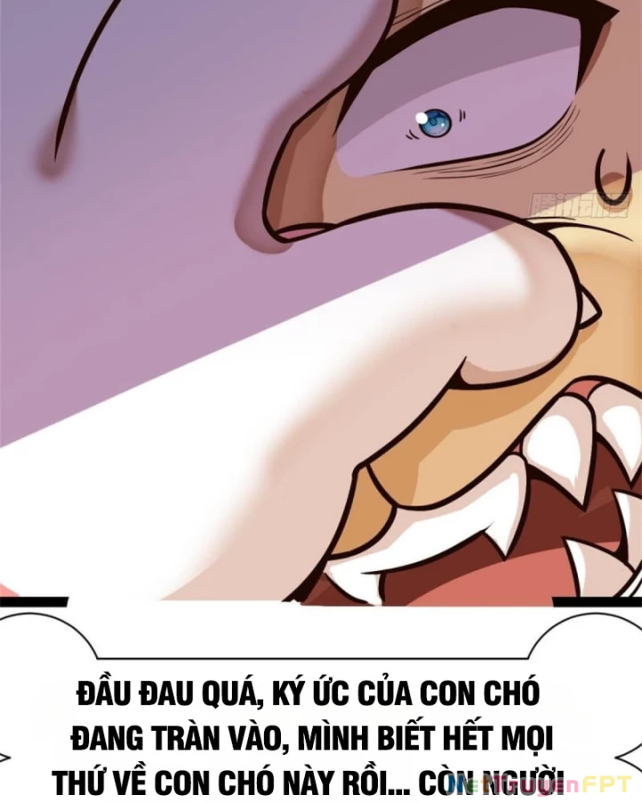 Kế Hoạch Nuôi Dưỡng Streamer Của Cẩu Hoàng Chapter 1 - Trang 2