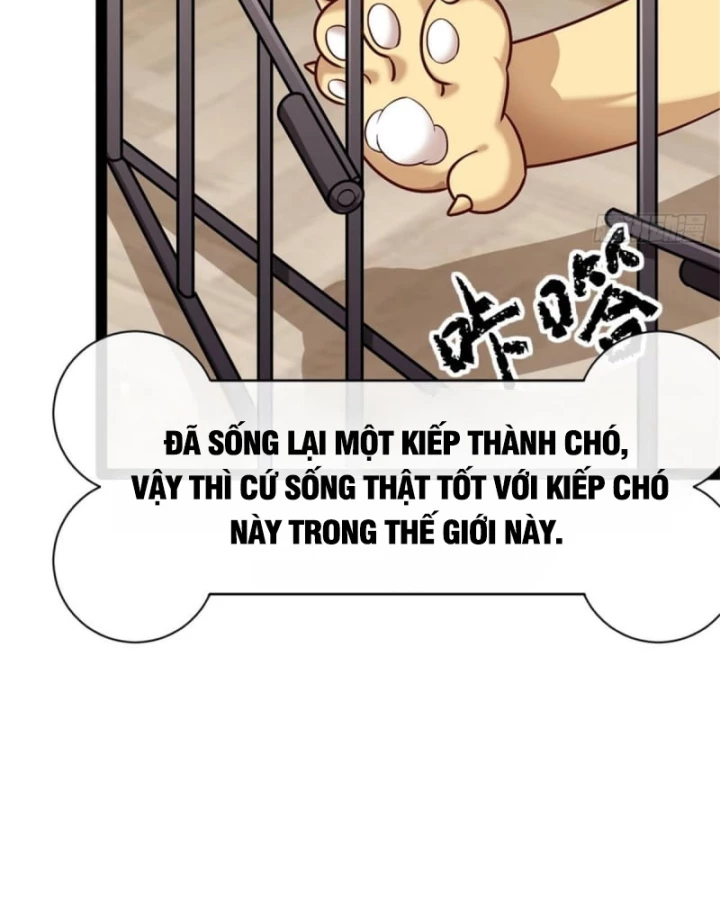 Kế Hoạch Nuôi Dưỡng Streamer Của Cẩu Hoàng Chapter 1 - Trang 2