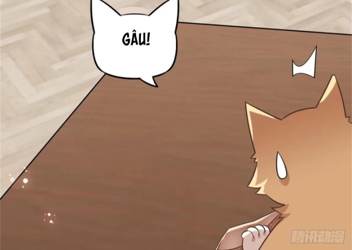 Kế Hoạch Nuôi Dưỡng Streamer Của Cẩu Hoàng Chapter 1 - Trang 2