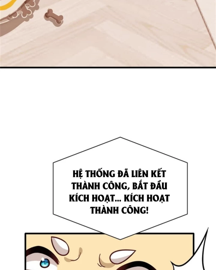 Kế Hoạch Nuôi Dưỡng Streamer Của Cẩu Hoàng Chapter 1 - Trang 2