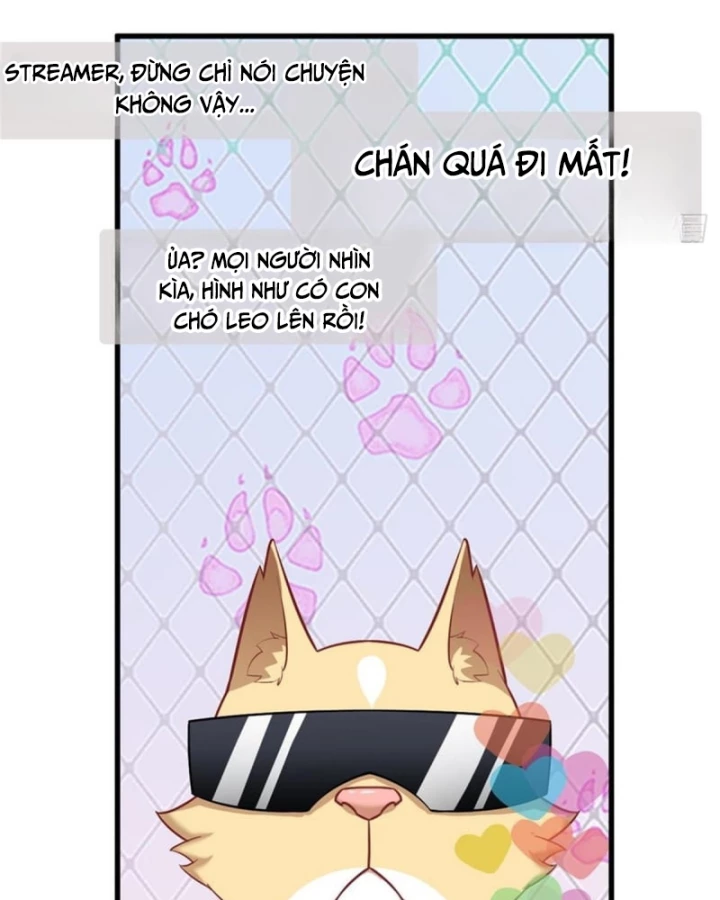 Kế Hoạch Nuôi Dưỡng Streamer Của Cẩu Hoàng Chapter 2 - Trang 2