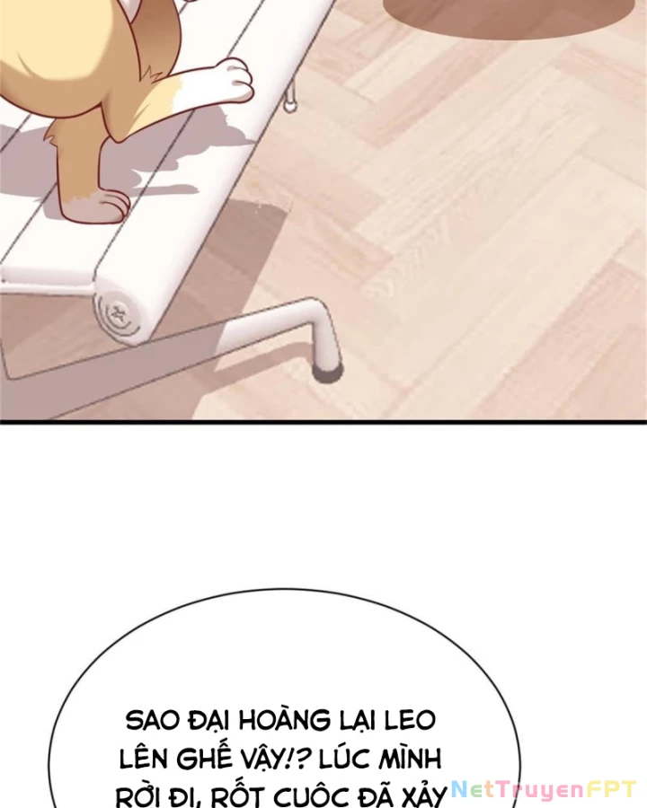 Kế Hoạch Nuôi Dưỡng Streamer Của Cẩu Hoàng Chapter 2 - Trang 2