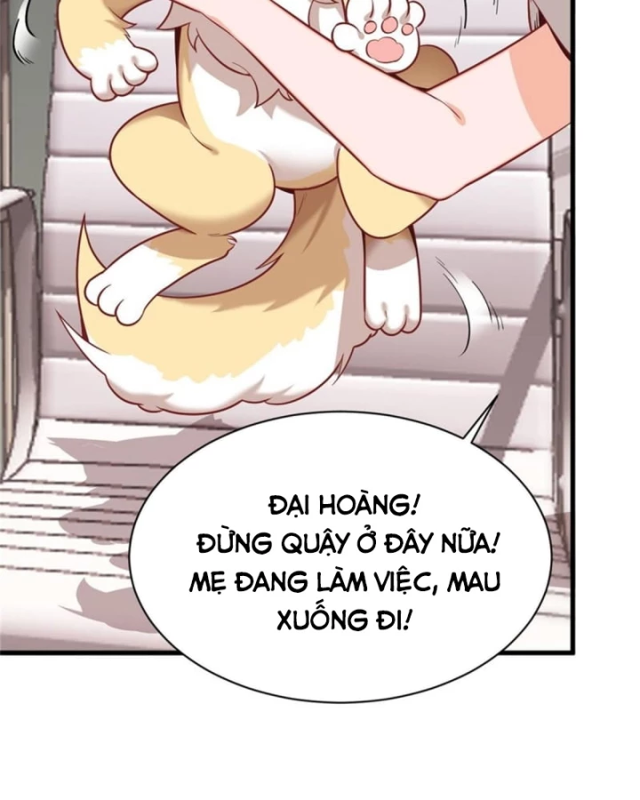 Kế Hoạch Nuôi Dưỡng Streamer Của Cẩu Hoàng Chapter 2 - Trang 2