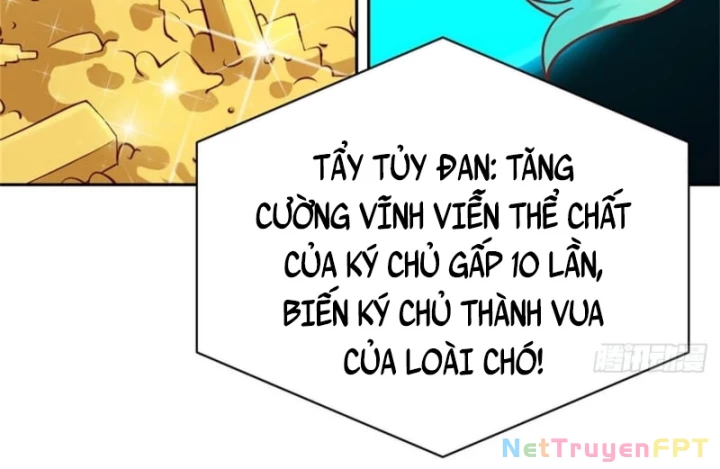 Kế Hoạch Nuôi Dưỡng Streamer Của Cẩu Hoàng Chapter 2 - Trang 2