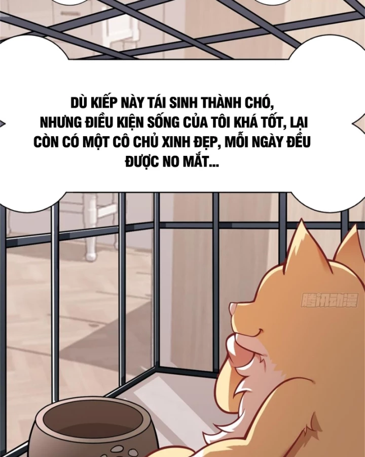 Kế Hoạch Nuôi Dưỡng Streamer Của Cẩu Hoàng Chapter 3 - Trang 2