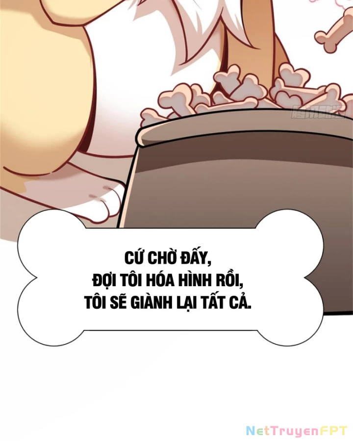 Kế Hoạch Nuôi Dưỡng Streamer Của Cẩu Hoàng Chapter 3 - Trang 2