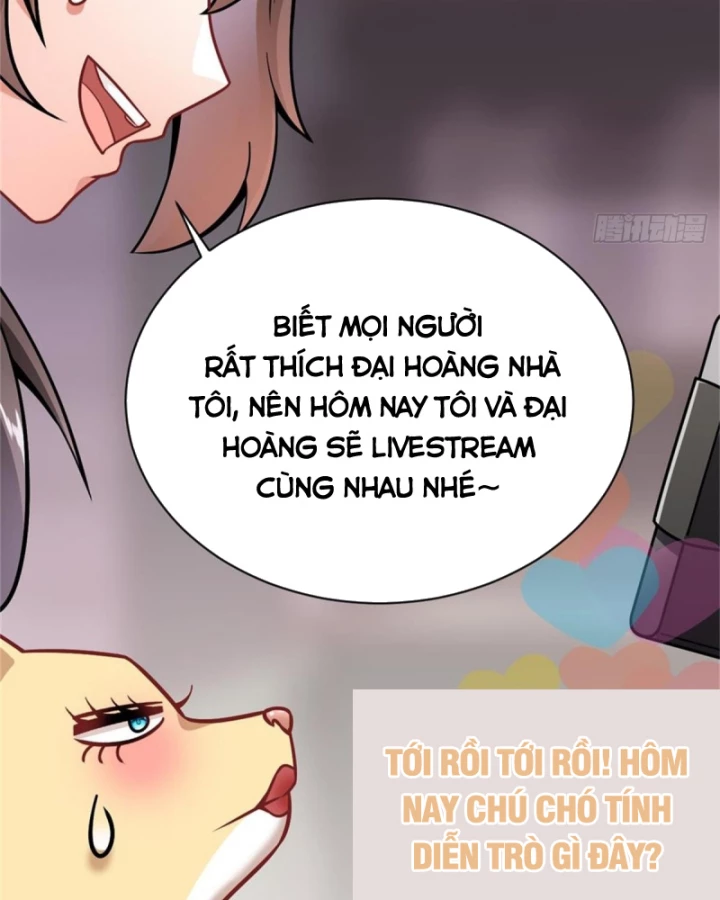 Kế Hoạch Nuôi Dưỡng Streamer Của Cẩu Hoàng Chapter 3 - Trang 2