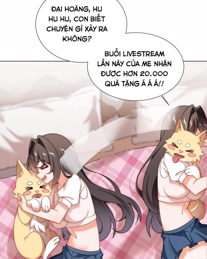 Kế Hoạch Nuôi Dưỡng Streamer Của Cẩu Hoàng Chapter 4 - Trang 2