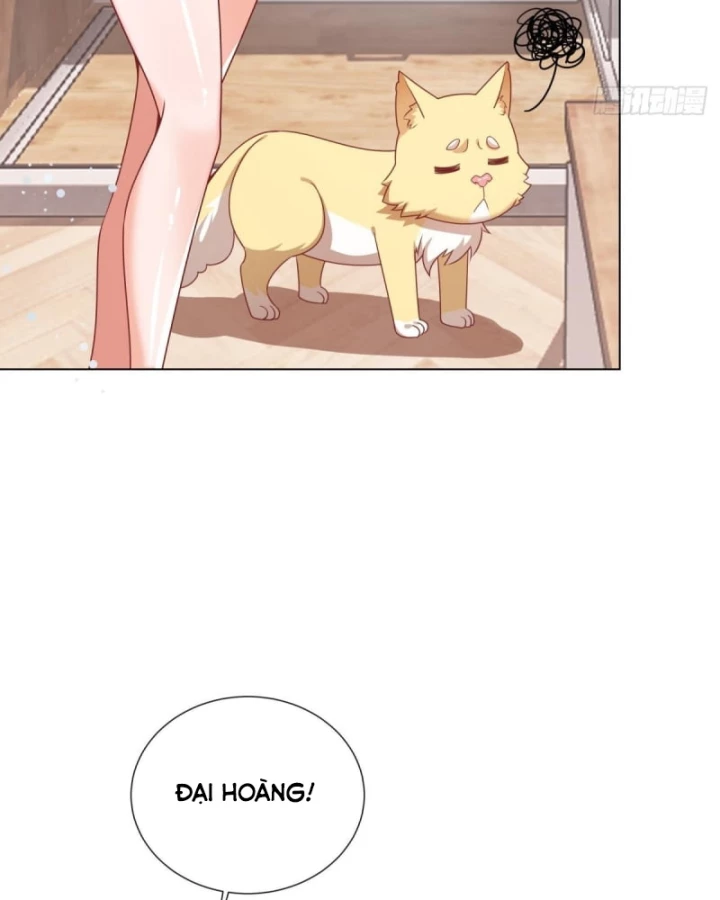 Kế Hoạch Nuôi Dưỡng Streamer Của Cẩu Hoàng Chapter 4 - Trang 2