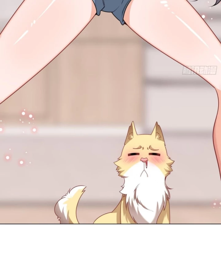 Kế Hoạch Nuôi Dưỡng Streamer Của Cẩu Hoàng Chapter 4 - Trang 2