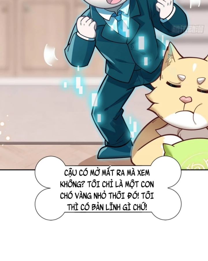 Kế Hoạch Nuôi Dưỡng Streamer Của Cẩu Hoàng Chapter 5 - Trang 2