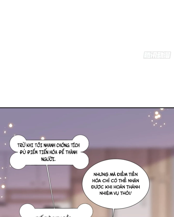 Kế Hoạch Nuôi Dưỡng Streamer Của Cẩu Hoàng Chapter 5 - Trang 2