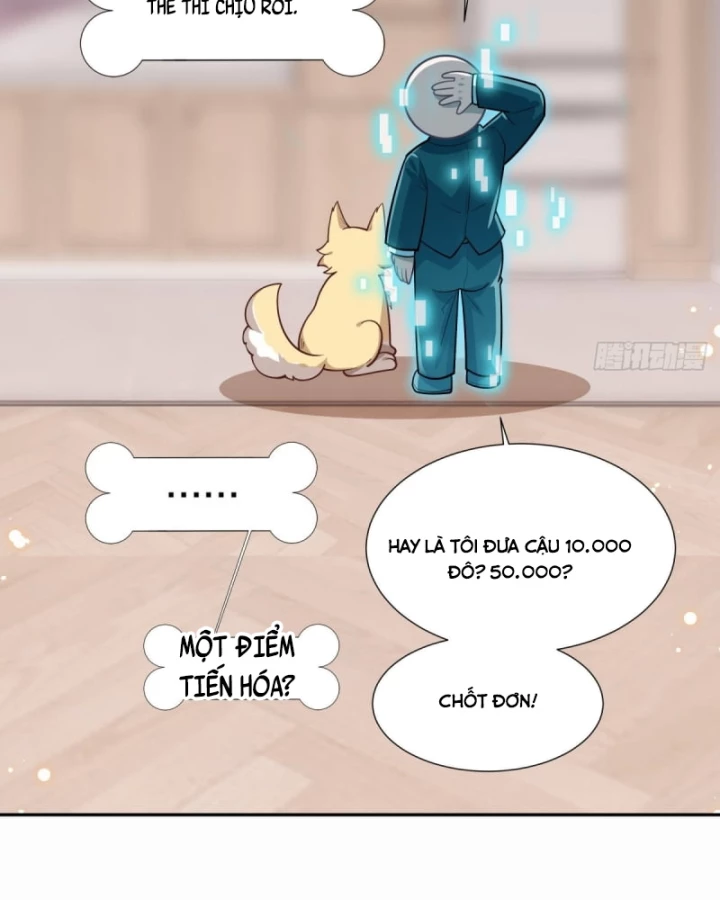 Kế Hoạch Nuôi Dưỡng Streamer Của Cẩu Hoàng Chapter 5 - Trang 2